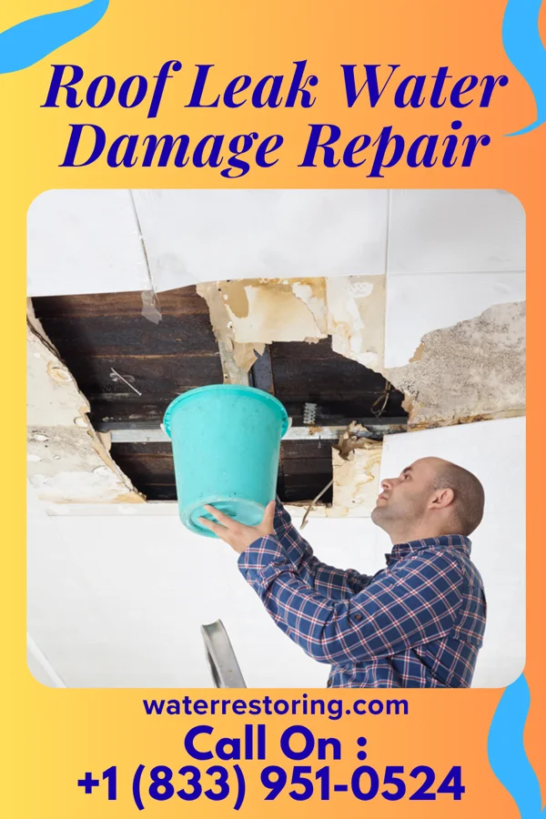 Roof Leak Water Damage Repair in Old Brookville, NY