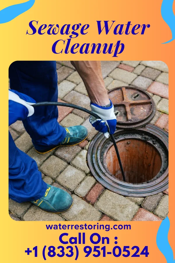 Sewage Water Cleanup in Old Brookville, NY